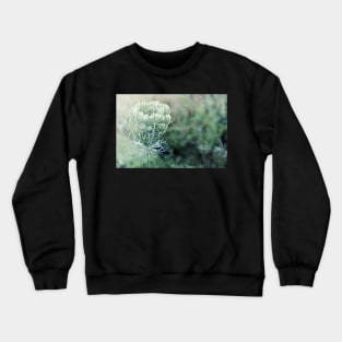 Queen Anne's Lace Crewneck Sweatshirt